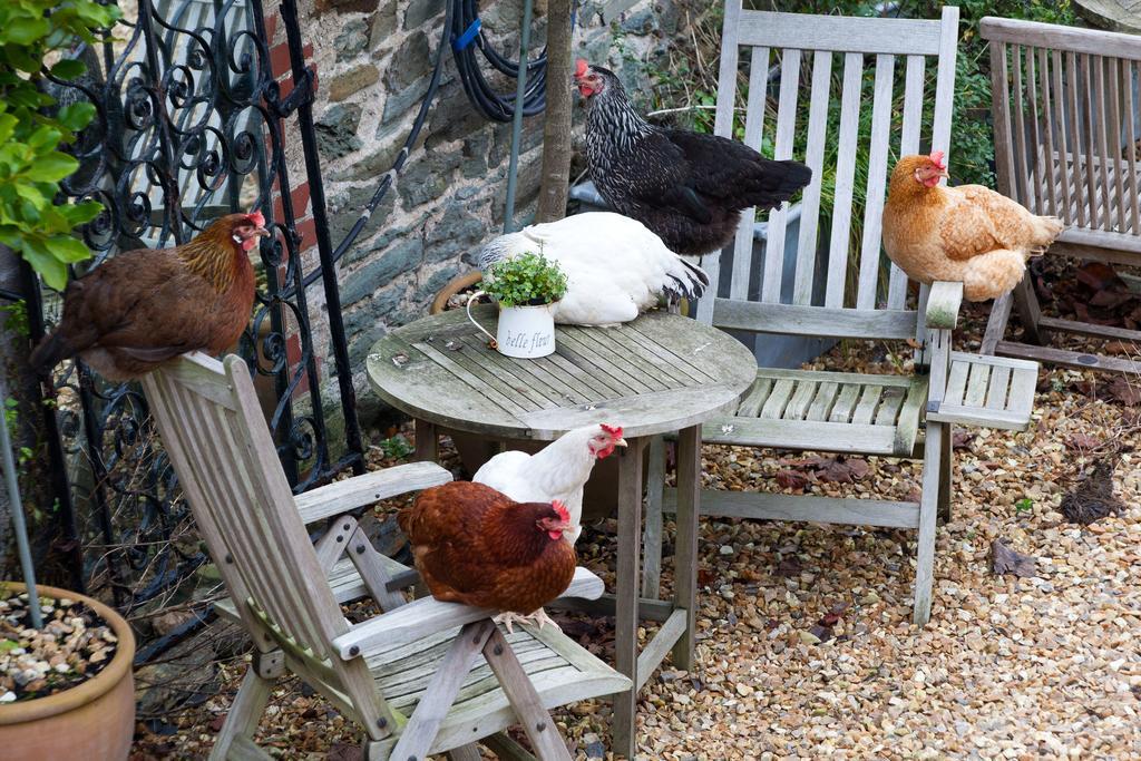 Bed & Breakfast Glebe Farm